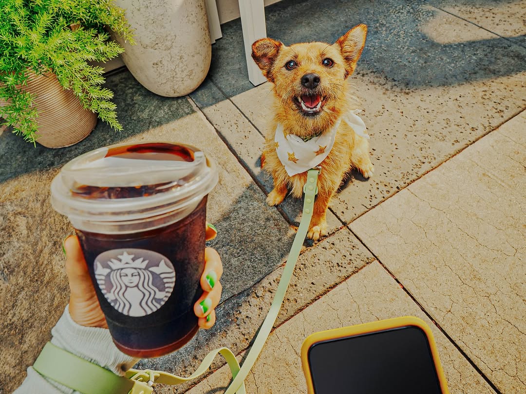 Talia Green X Starbucks Sep. 25