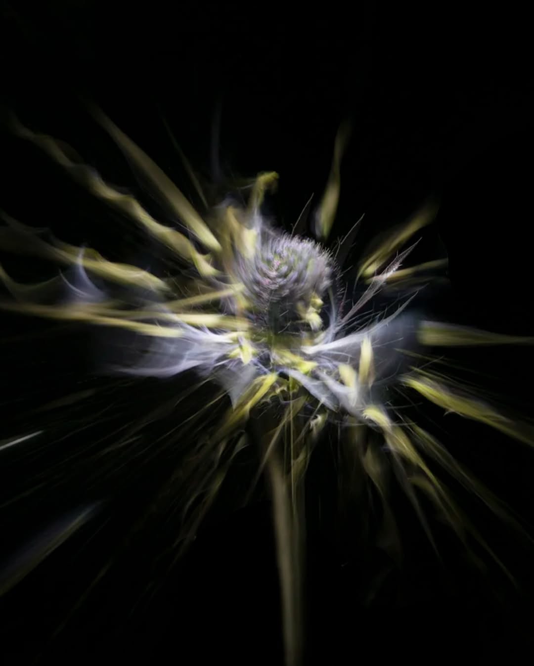 Mari Juliano Feb. 26