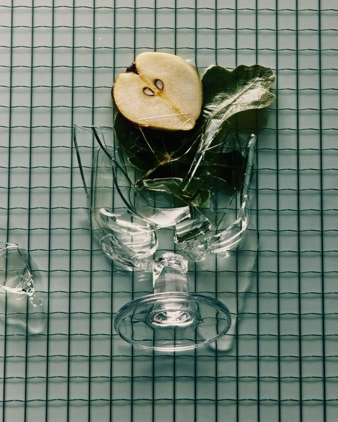 Cody Guilfoyle Mar. 26