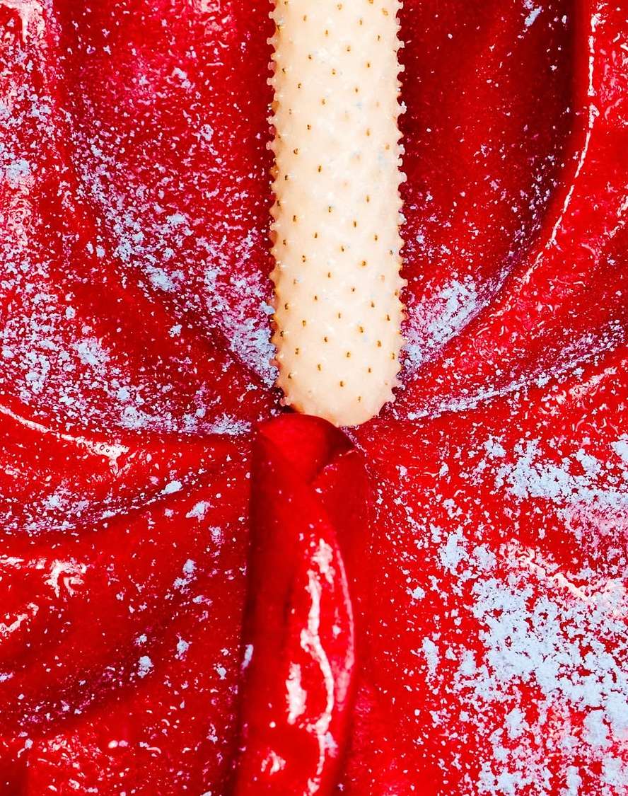 Emilynn Rose Apr. 26