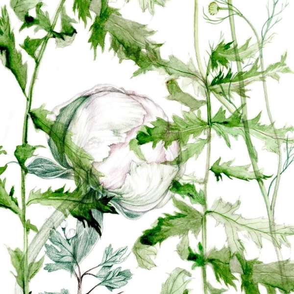 Lina Ekstrand