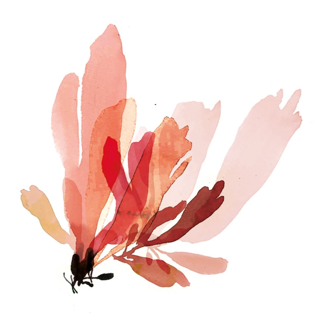 Lina Ekstrand X Buffe