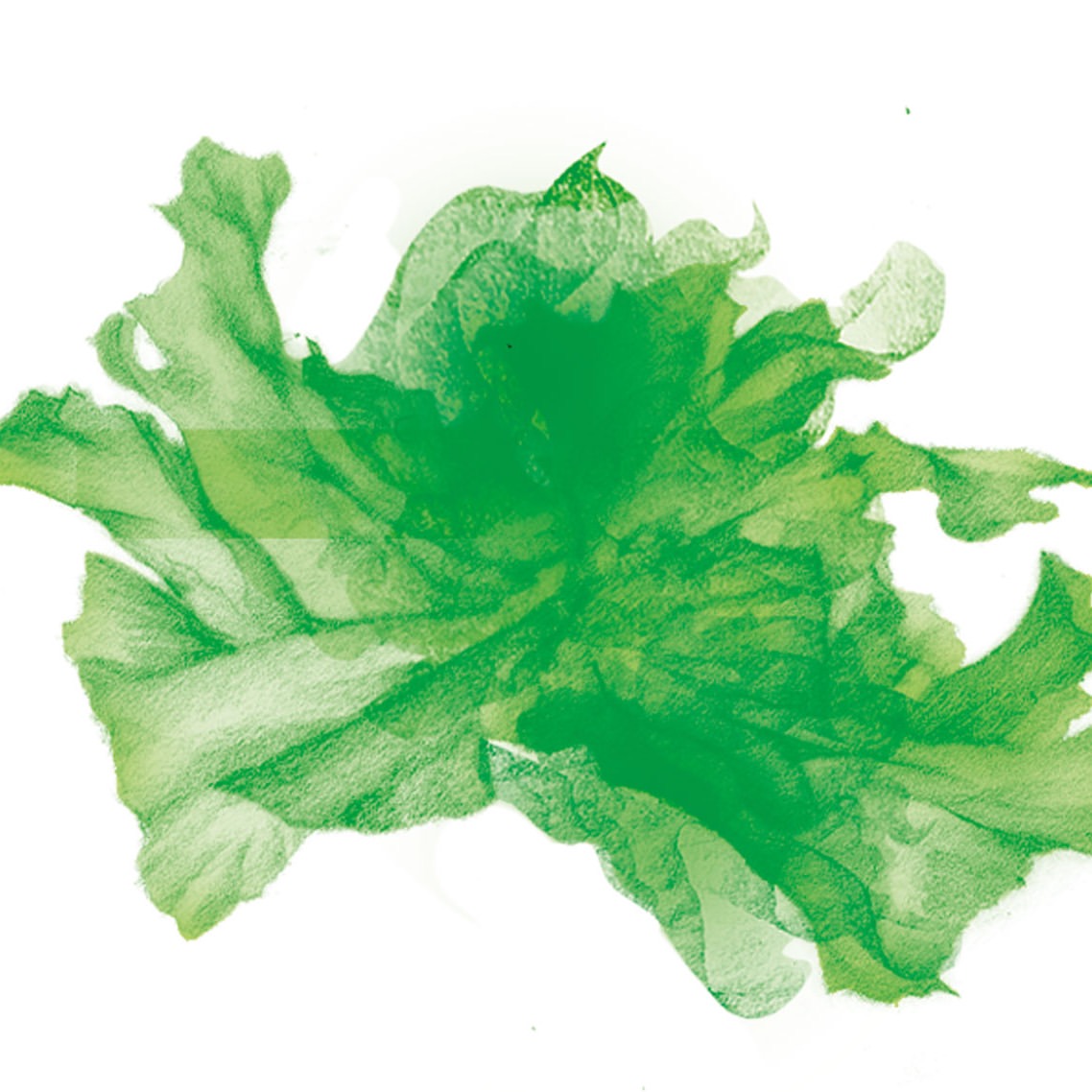 Lina Ekstrand X Buffe Mar. 26