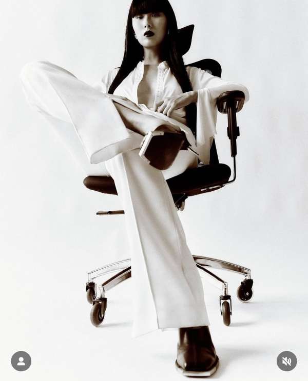 A bold and elegant vision that blurs the li...