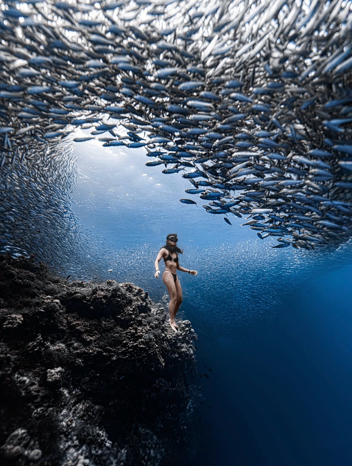 In the heart of summer
•••
#repost @lusea_____ .
📸@lusea
🧜‍♀️Sunny
.
#bohol #panglao #philippines #boholfreediving #napaling #napalingreef #napalingdivepoint #napalingcrack #sardines #sardine #sardinestorm #sardinerun #freedivingphotography #freediving #freedive #freedivebohol #freediver #girlsthatfreedive
#UnderwaterPhotography #uwphotography #underwater #underwaterphoto #underwaterworld #travelphotography #traveltheworld #deepblue #divephilippines #diver #divinglife