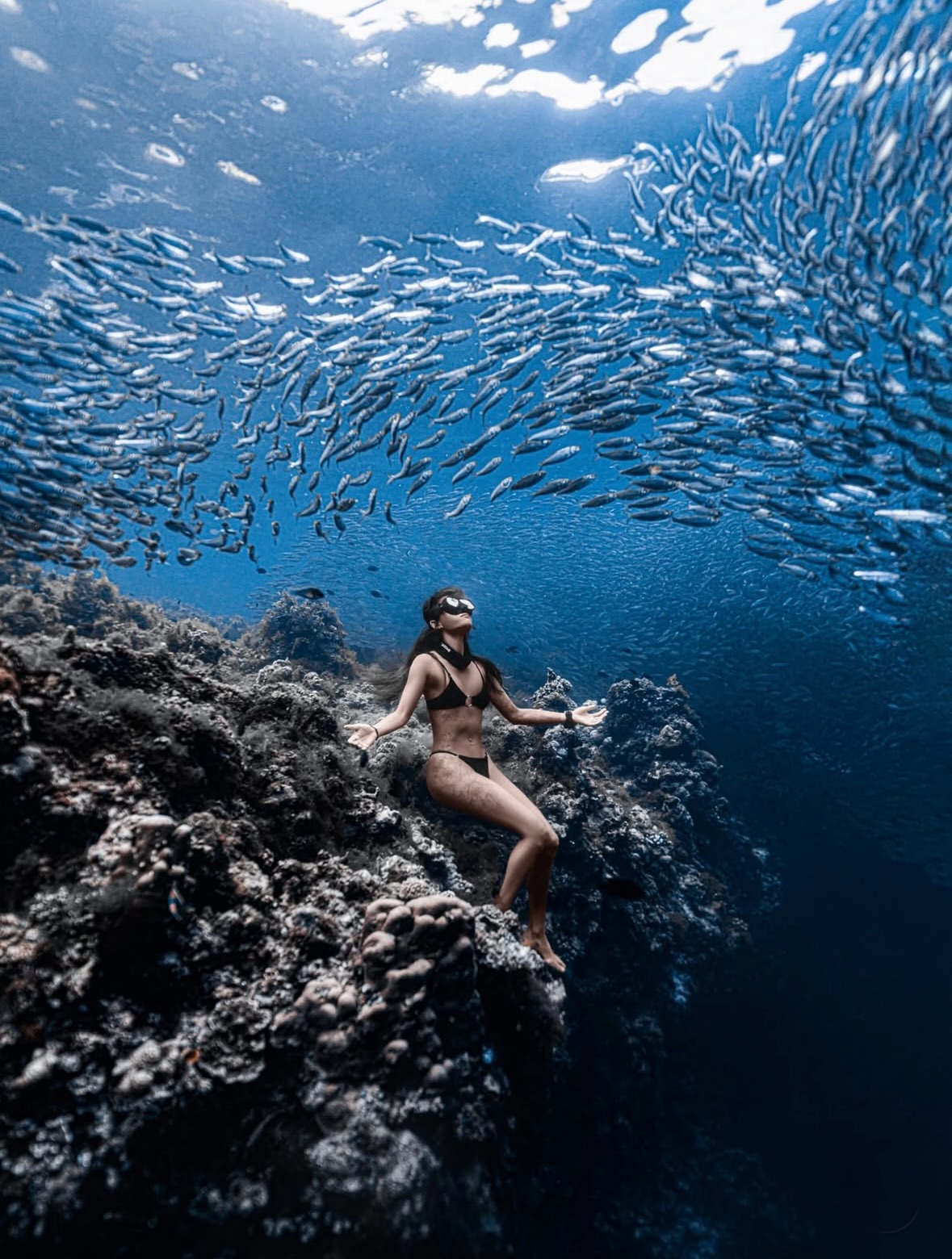In the heart of summer
•••
#repost @lusea_____ .
📸@lusea
🧜‍♀️Sunny
.
#bohol #panglao #philippines #boholfreediving #napaling #napalingreef #napalingdivepoint #napalingcrack #sardines #sardine #sardinestorm #sardinerun #freedivingphotography #freediving #freedive #freedivebohol #freediver #girlsthatfreedive
#UnderwaterPhotography #uwphotography #underwater #underwaterphoto #underwaterworld #travelphotography #traveltheworld #deepblue #divephilippines #diver #divinglife