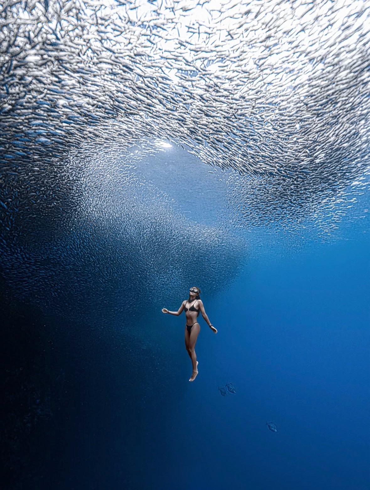 In the heart of summer
•••
#repost @lusea_____ .
📸@lusea
🧜‍♀️Sunny
.
#bohol #panglao #philippines #boholfreediving #napaling #napalingreef #napalingdivepoint #napalingcrack #sardines #sardine #sardinestorm #sardinerun #freedivingphotography #freediving #freedive #freedivebohol #freediver #girlsthatfreedive
#UnderwaterPhotography #uwphotography #underwater #underwaterphoto #underwaterworld #travelphotography #traveltheworld #deepblue #divephilippines #diver #divinglife