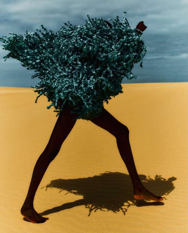 A study in elegance and form. Movement capt...