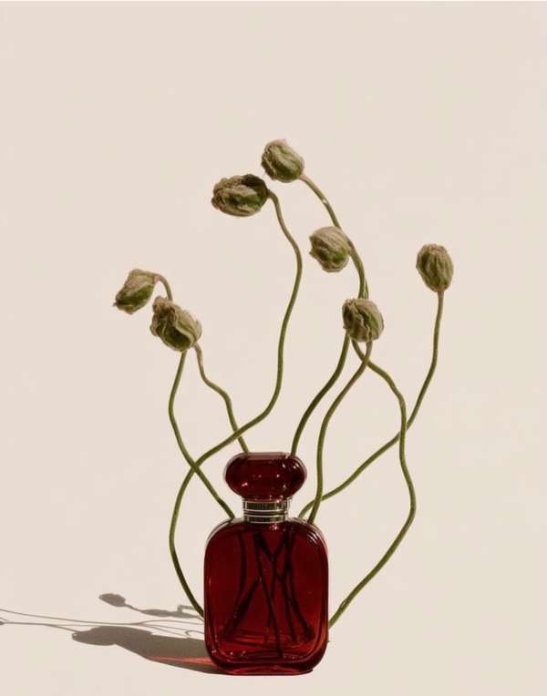 A vision drenched in velvet tones and whisp...