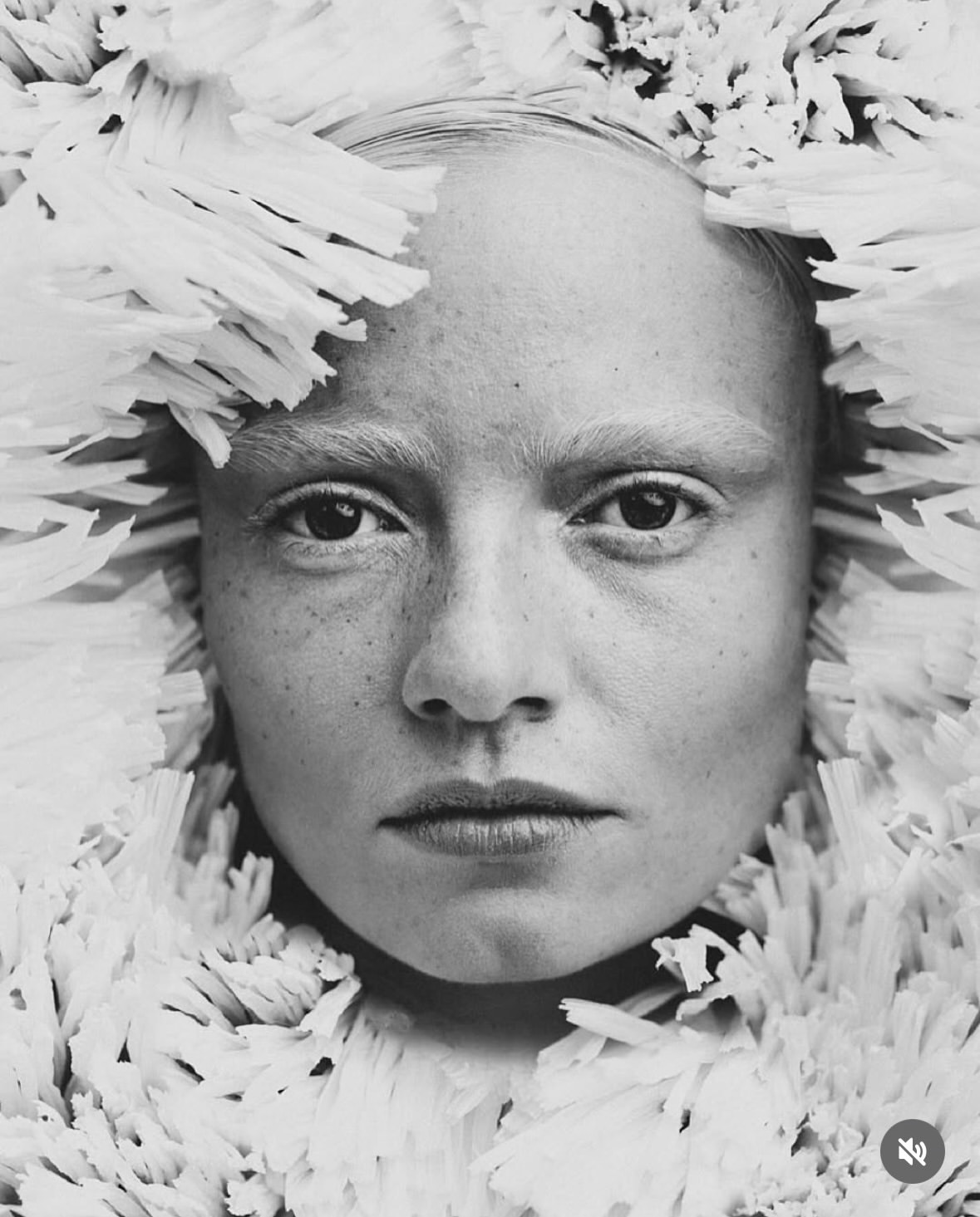 Every detail speaks with elegance.