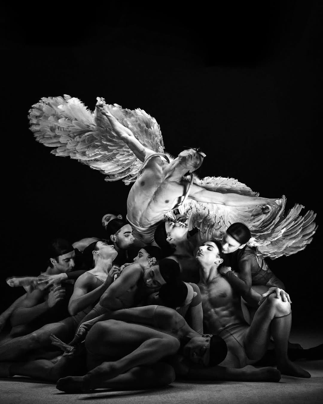 A choreography of desire, elegance and surrender.