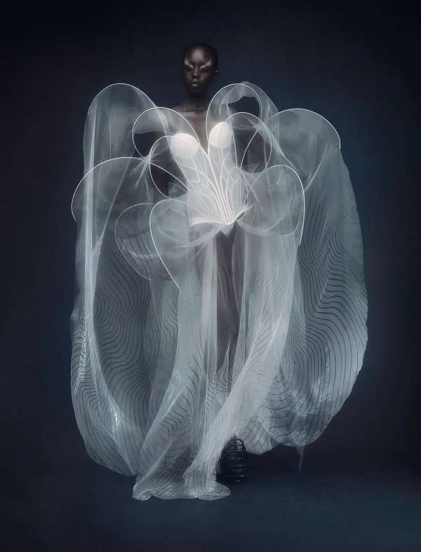 Delicate, otherworldly, and alive with the ...