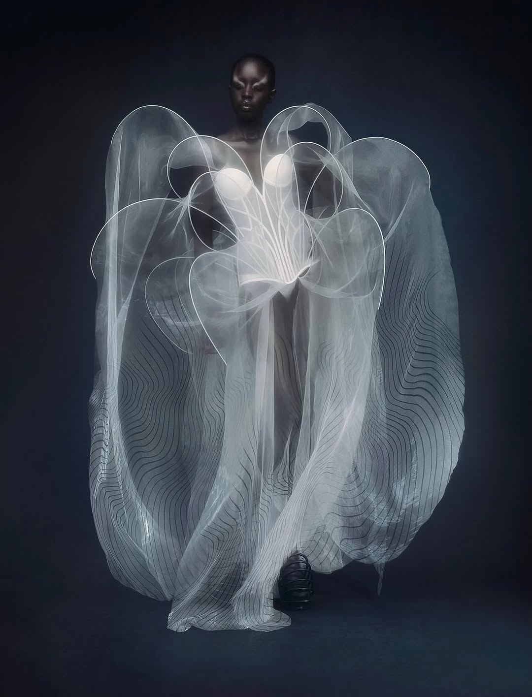 Delicate, otherworldly, and alive with the quiet p...