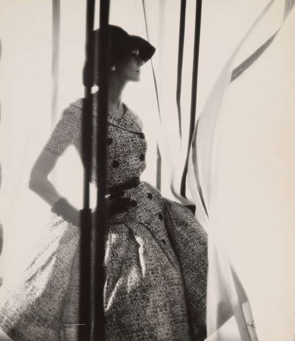 Elegance drawn in shadow.