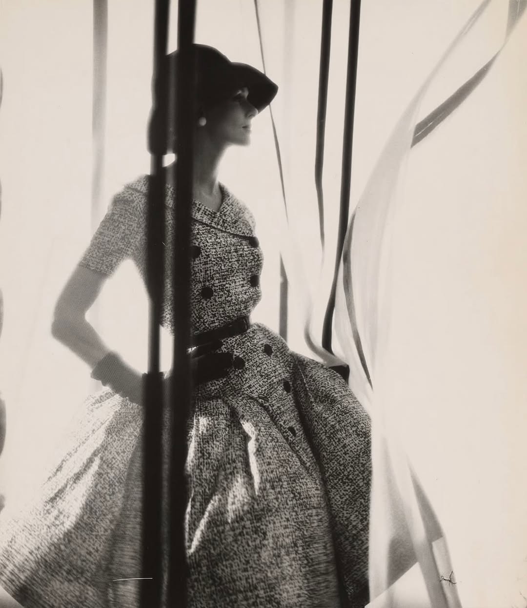 Elegance drawn in shadow.