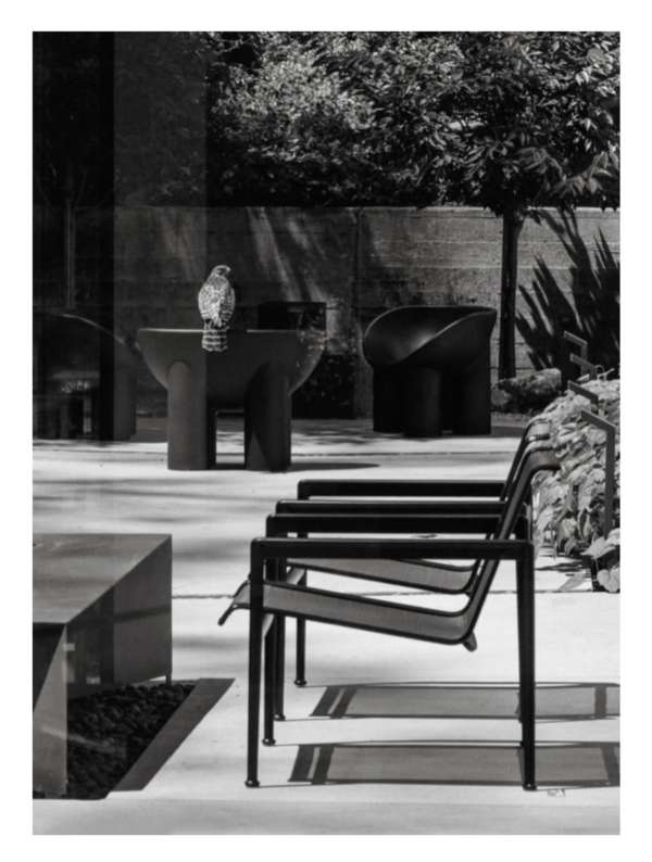 Where form meets feeling. @meredithadelaide...