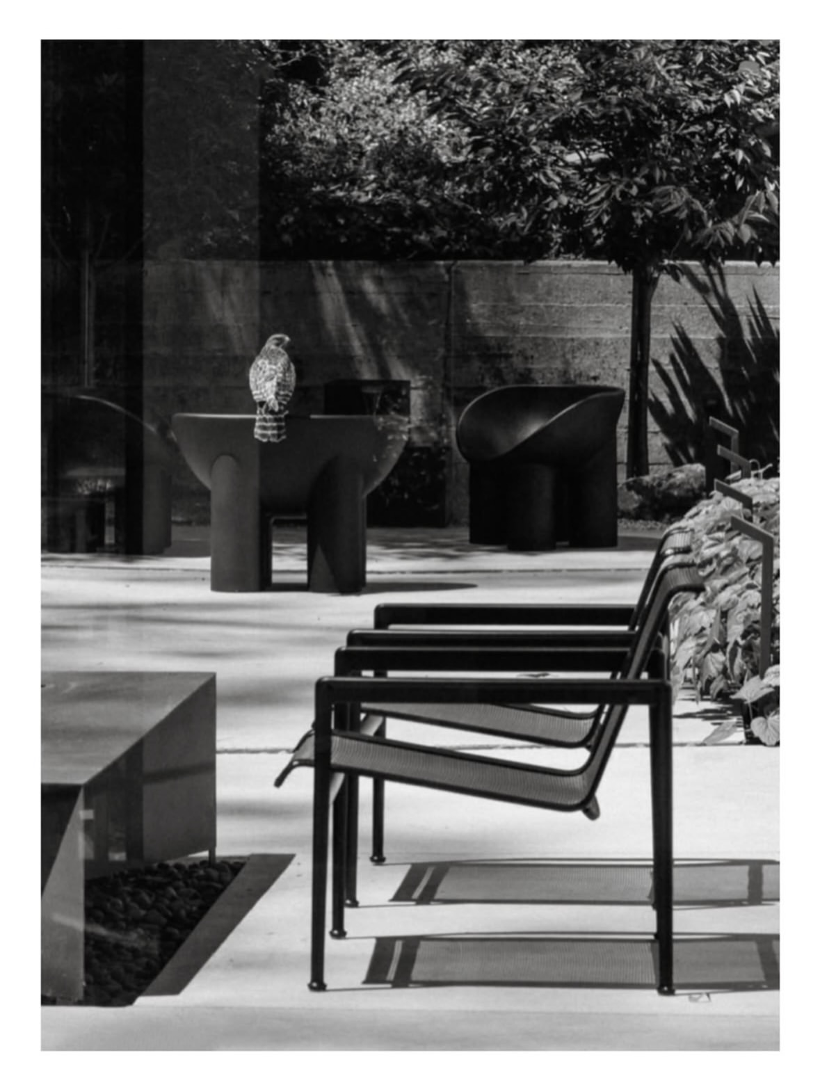 Where form meets feeling. @meredithadelaide moves ...