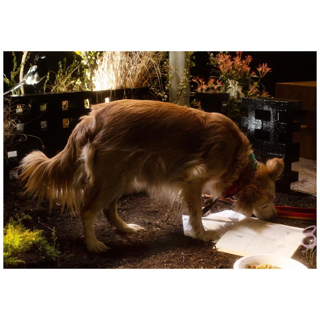 Alla Carta |  Jun. 21