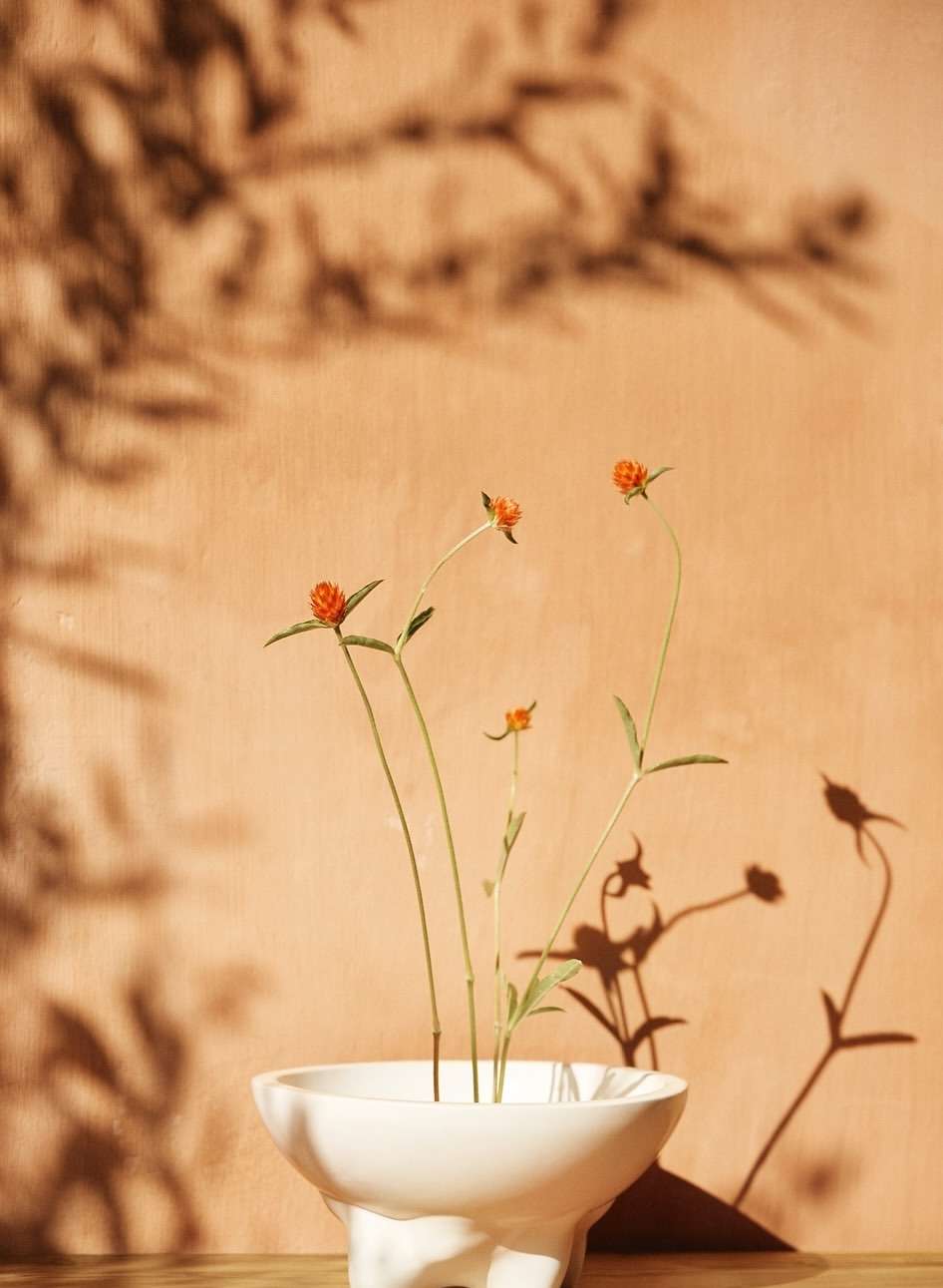 Inge Prins