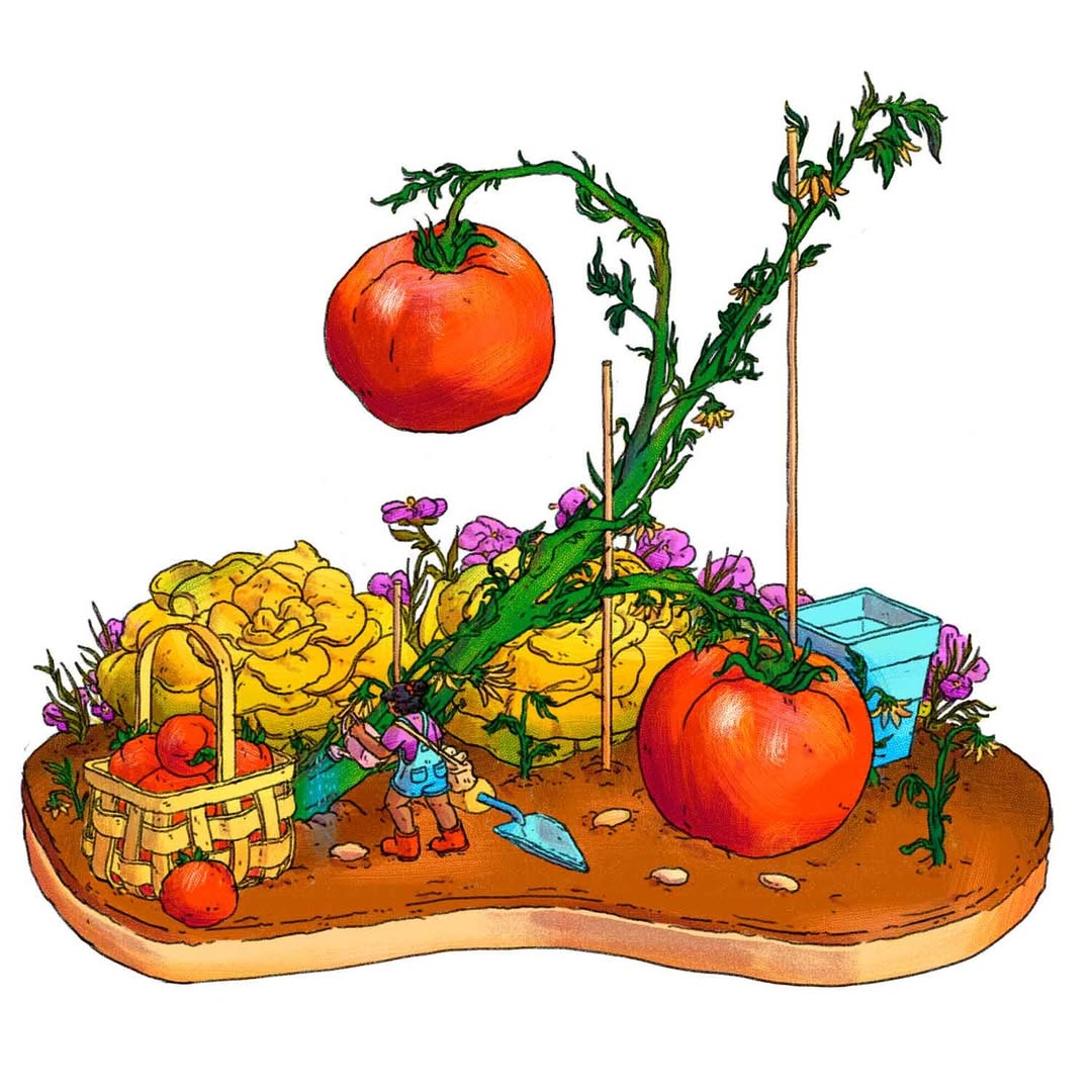 Meredith Miotke Oct. 25