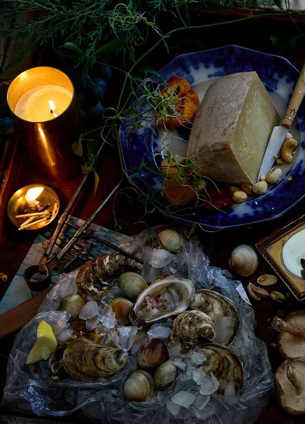 <a href="/dane-tashima">Dane Tashima</a> X Bellocq Tea Atelier <span style="text-transform: none; white-space: nowrap;">Oct. 25</span>