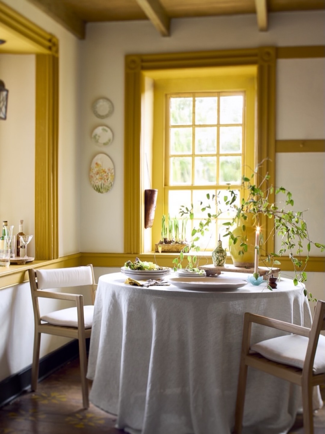 Dane Tashima X Terrain