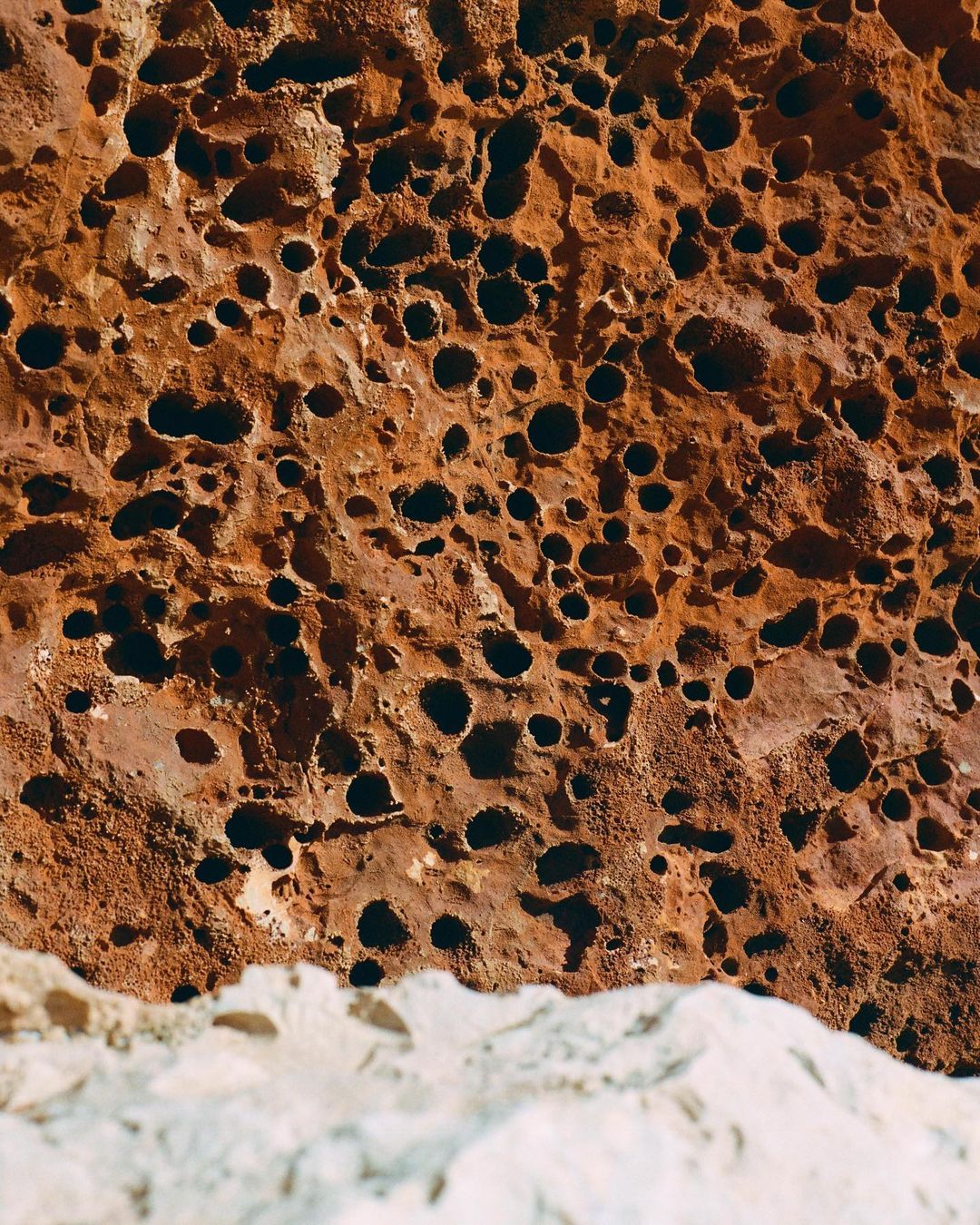 JANE magazine |  Aug. 23