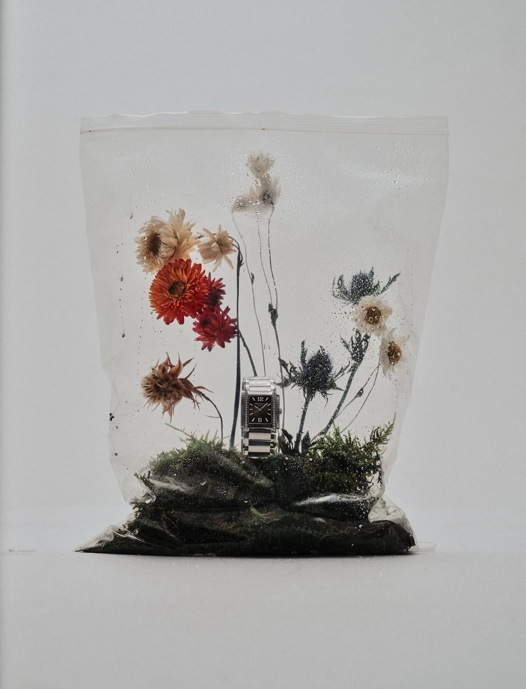 Mattia Iotti X WHATEVR MAGAZIN Nov. 25