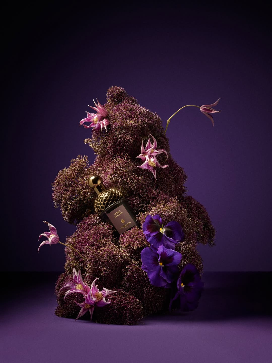 Mattia Iotti Feb. 26