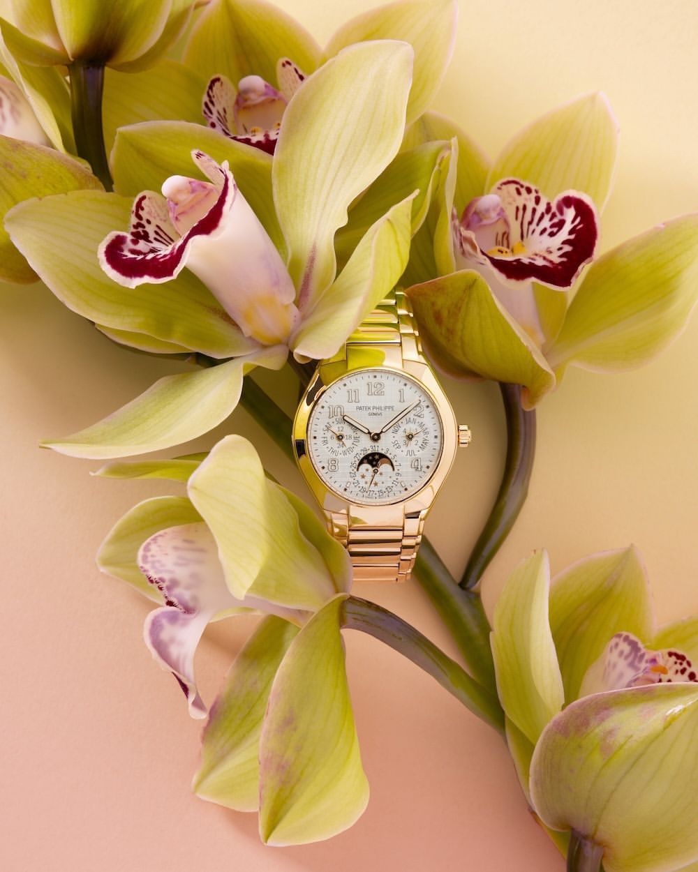 Armin Zogbaum X Die Weltwoche