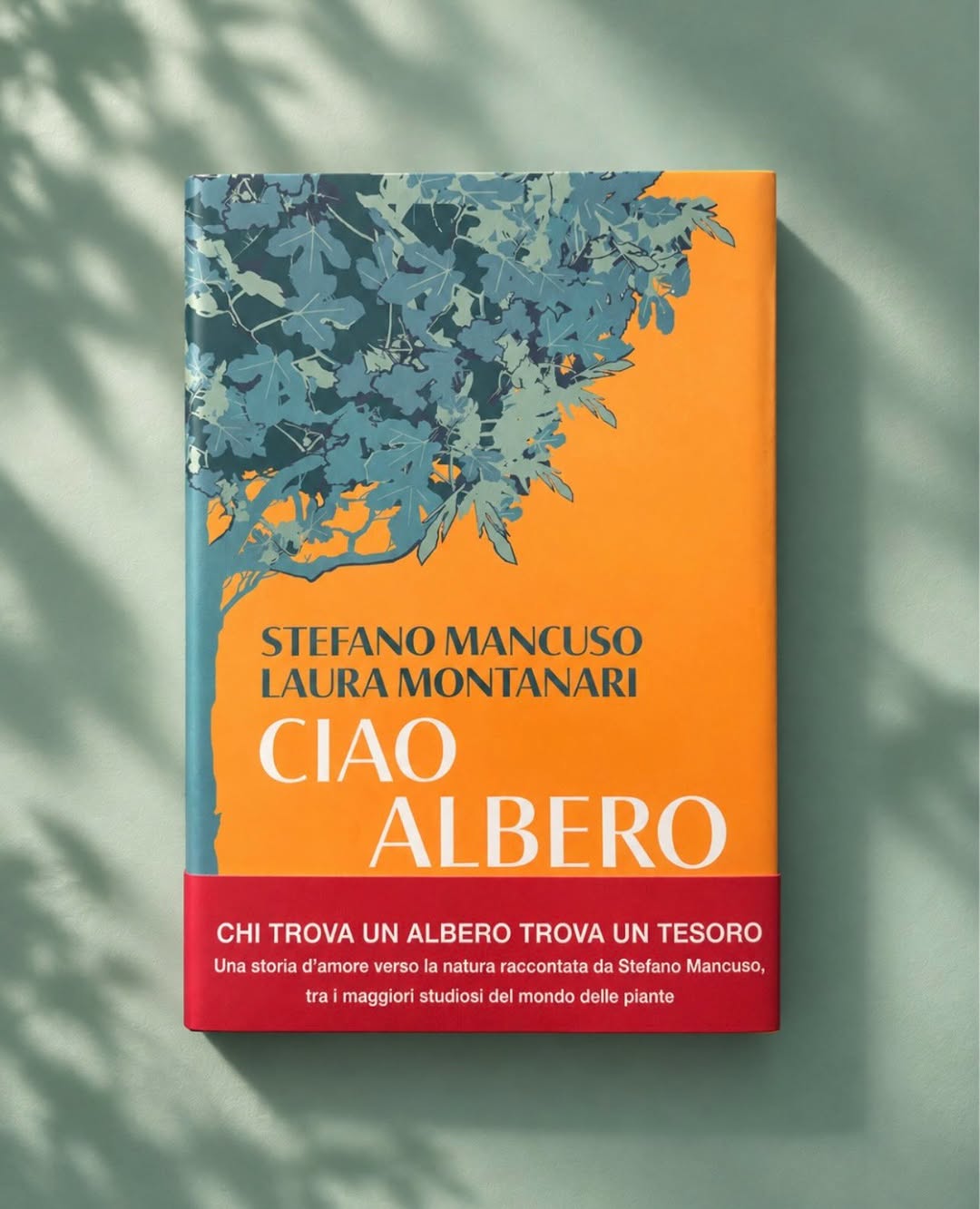 Ivan Canu X Salani Editore