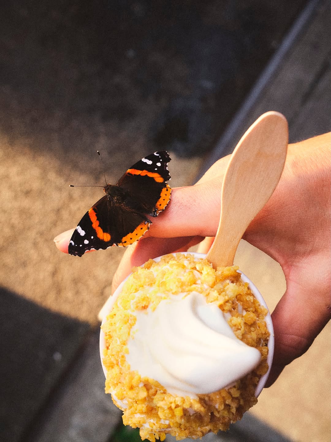 slider image