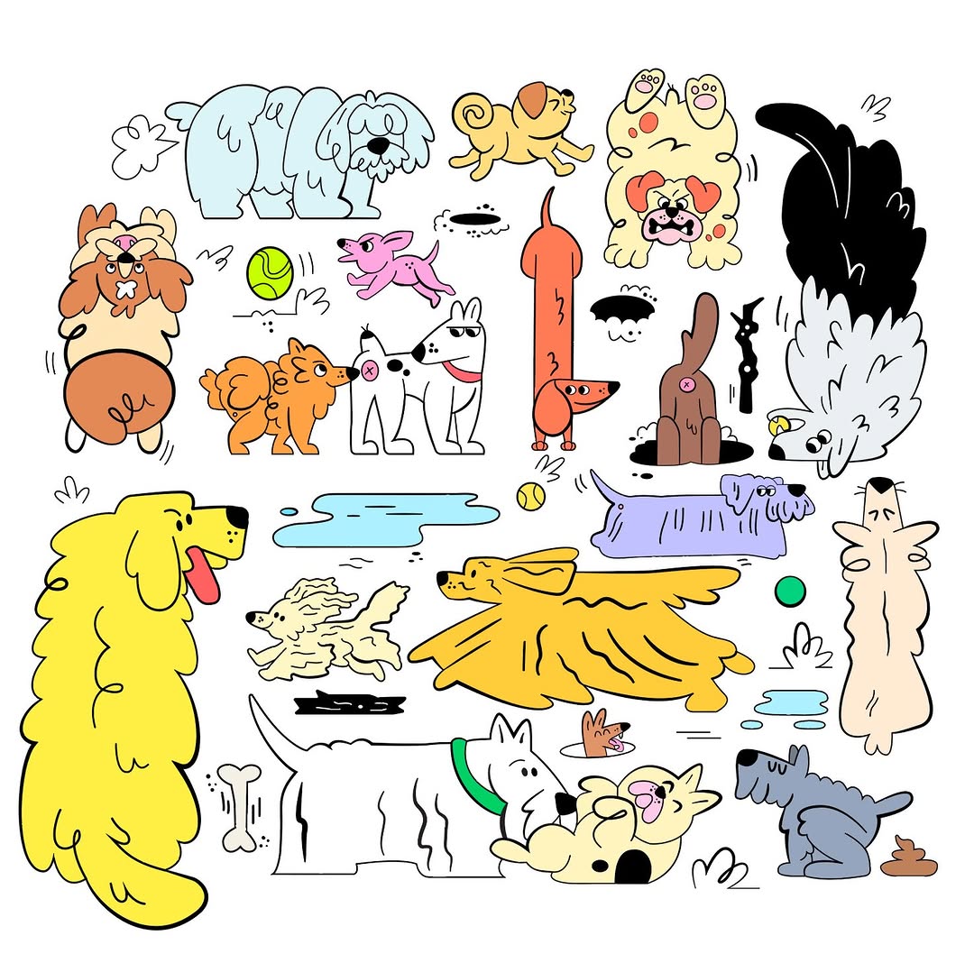 slider image
