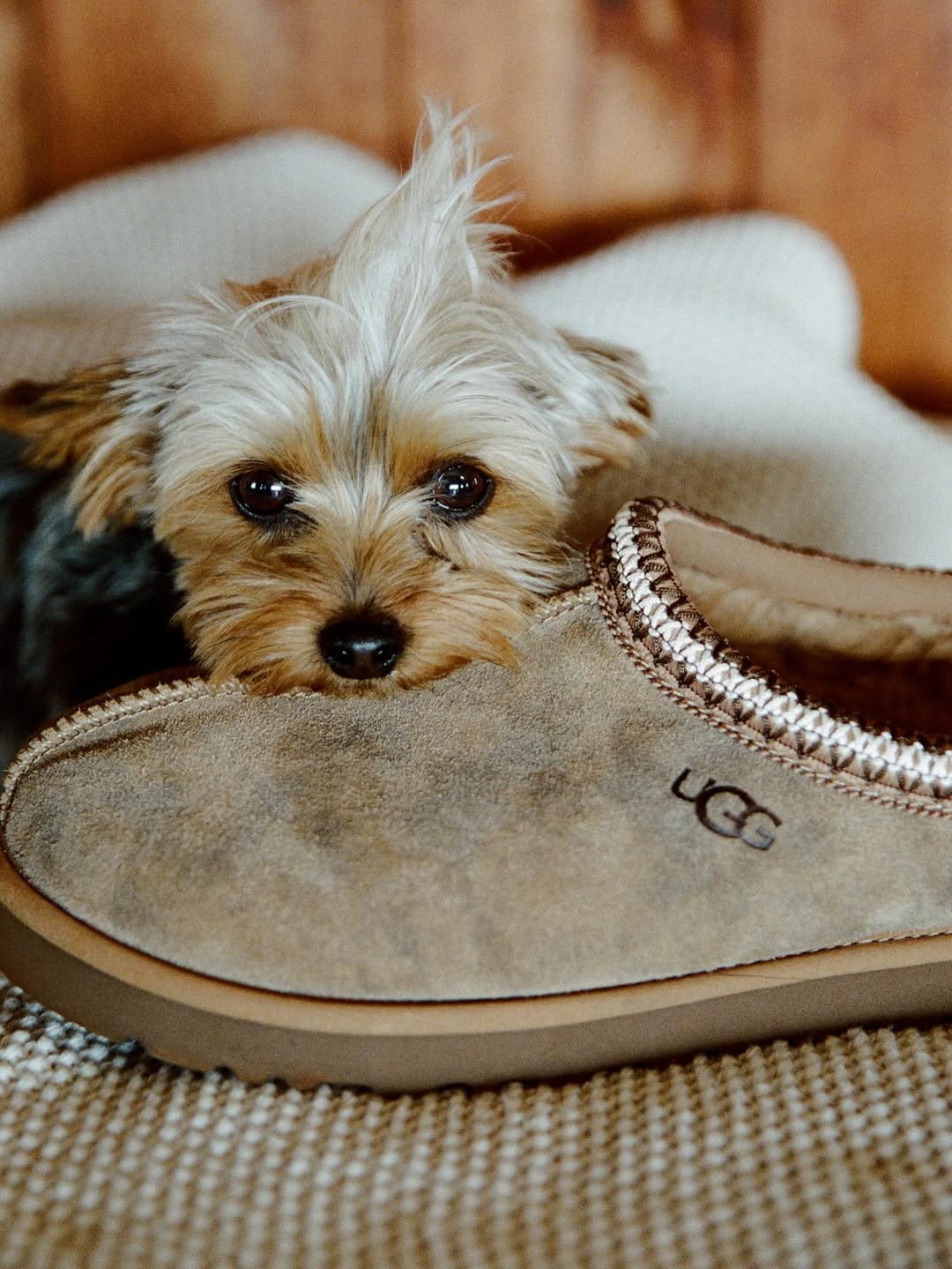 Jared Kocka X Ugg Sep. 25