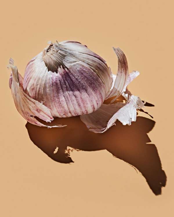 Jarren Vink