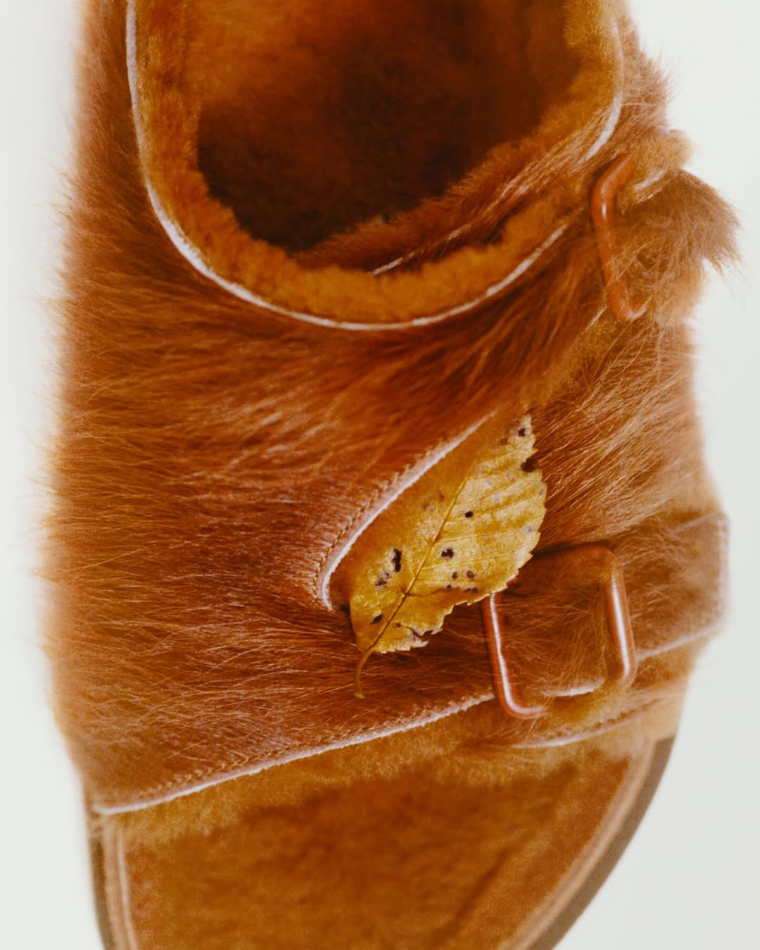 Jasmina Martiradonna