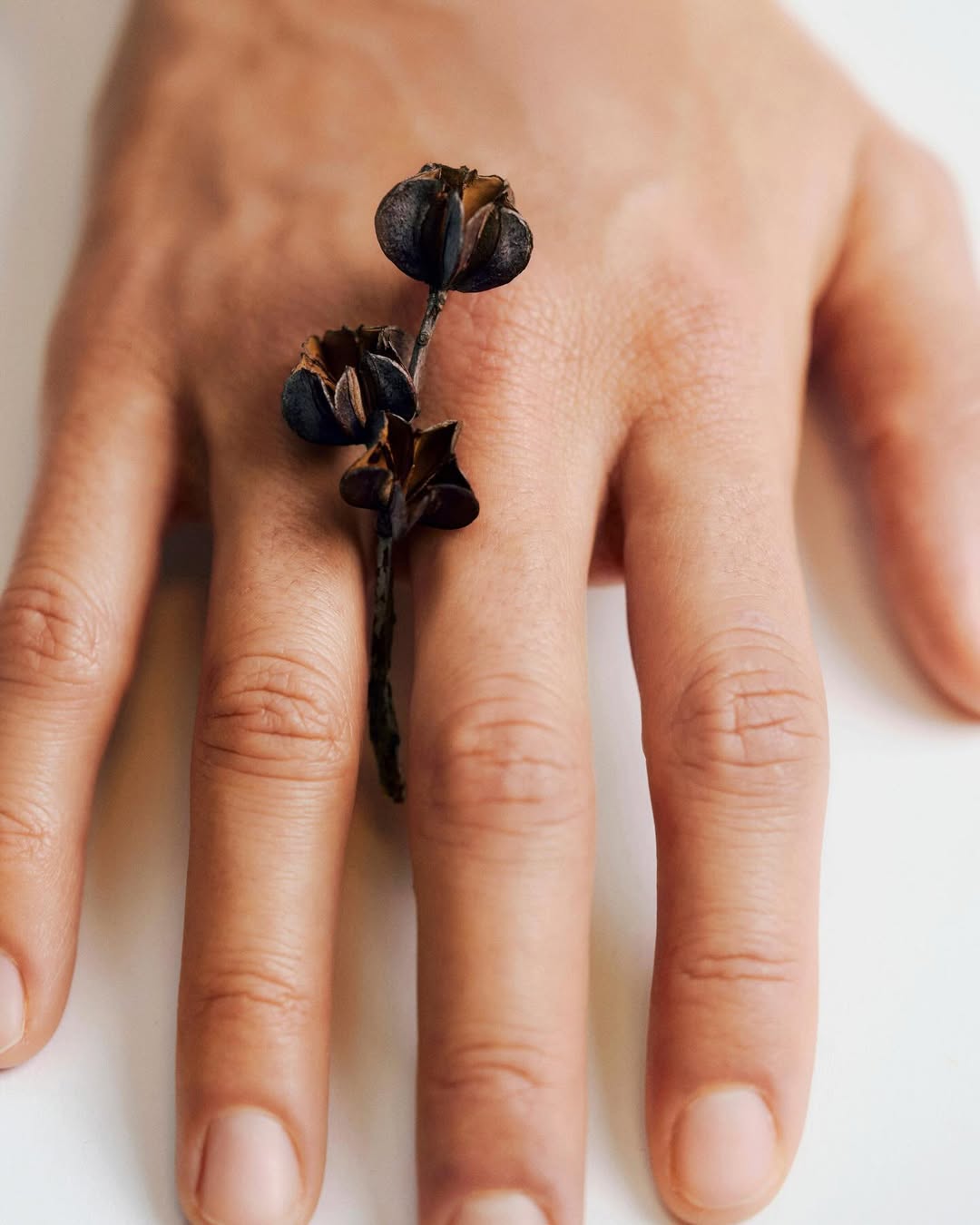 Jasmina Martiradonna