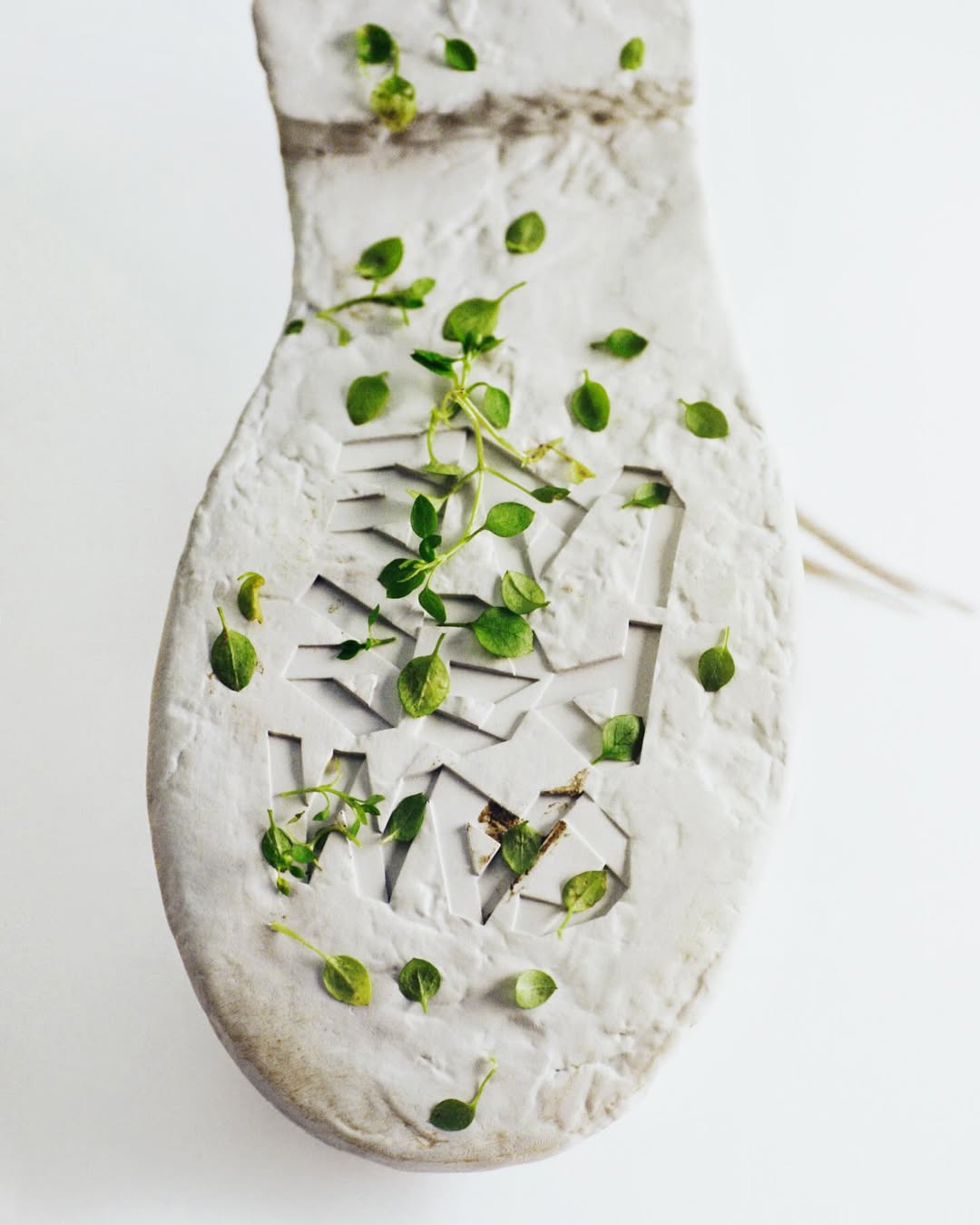 Jasmina Martiradonna