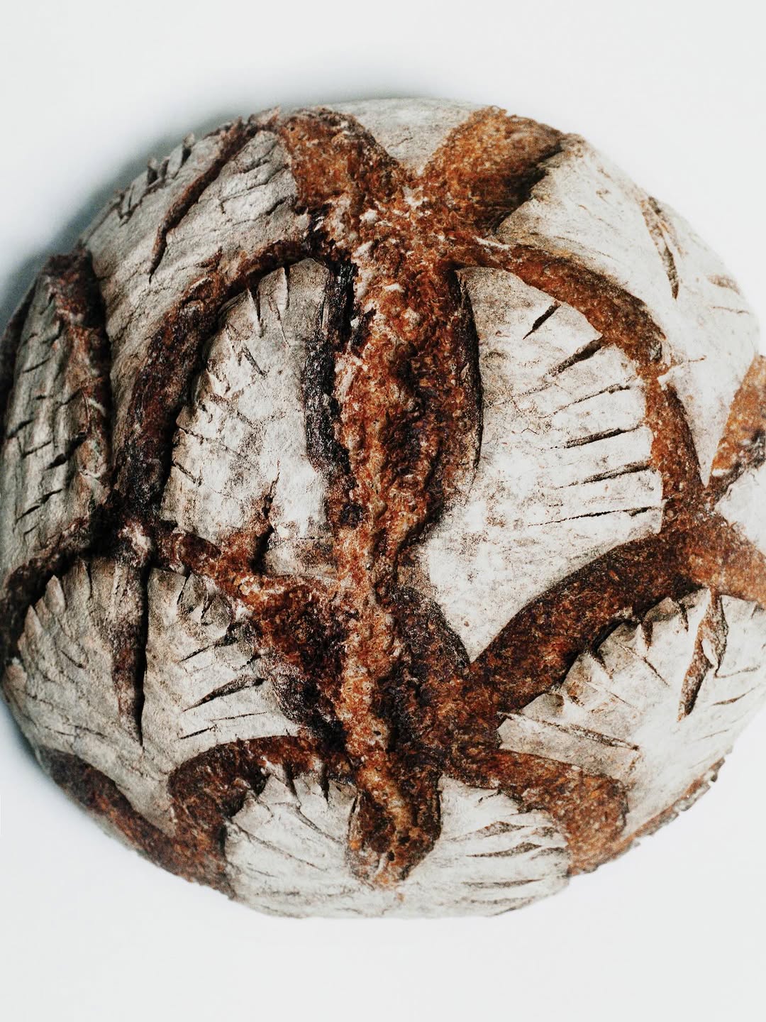 Jasmina Martiradonna