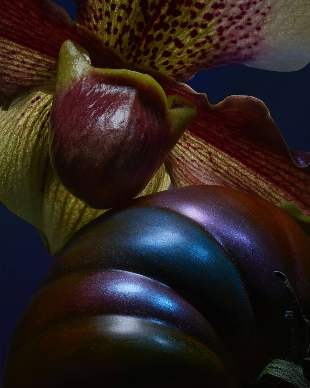 Jean-Baptiste Degez Nov. 25