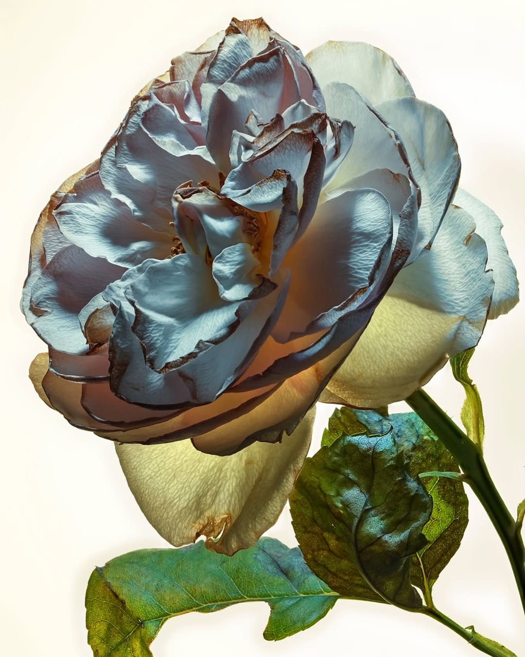 Jean-Baptiste Degez Dec. 25