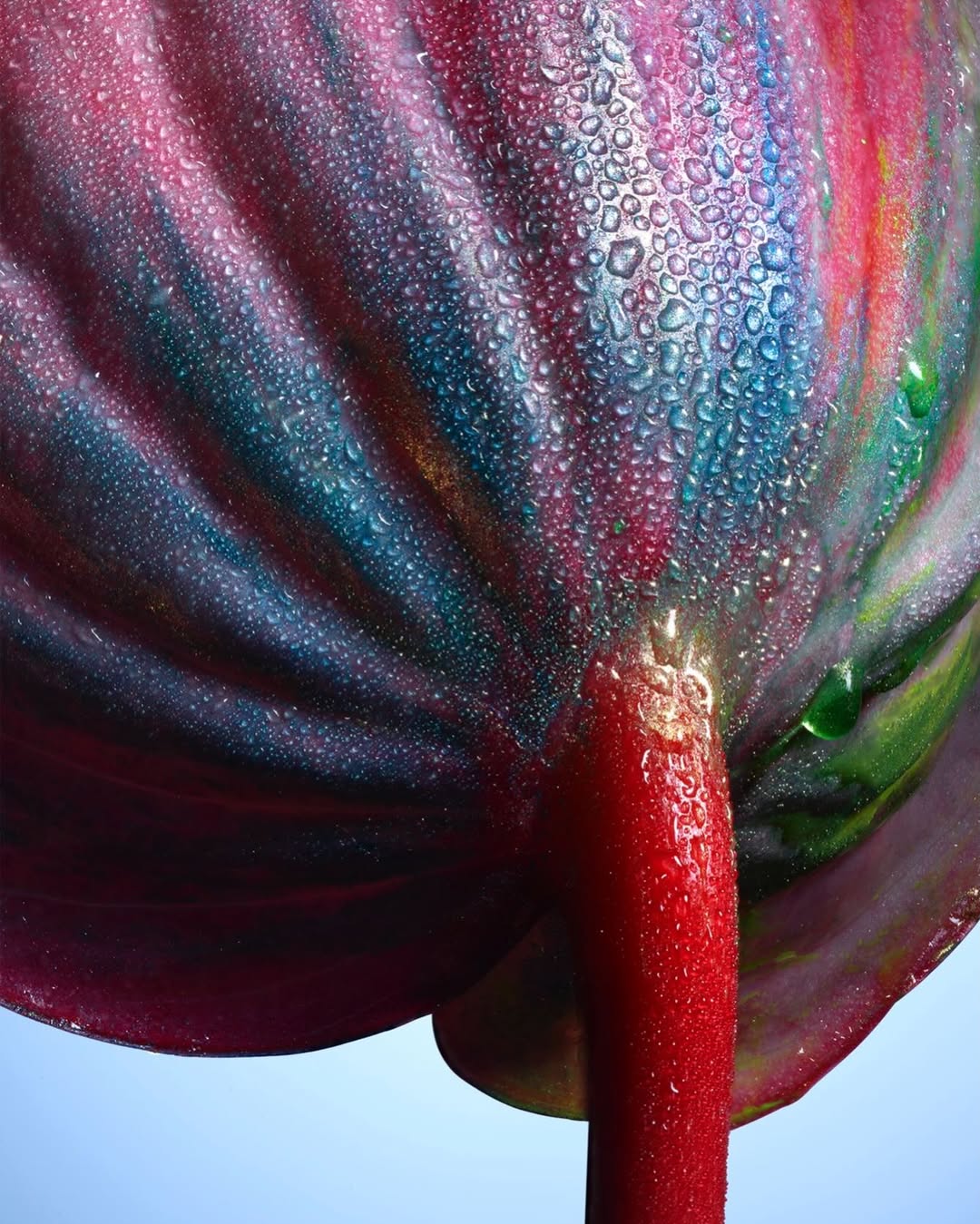 Jean-Baptiste Degez Feb. 26