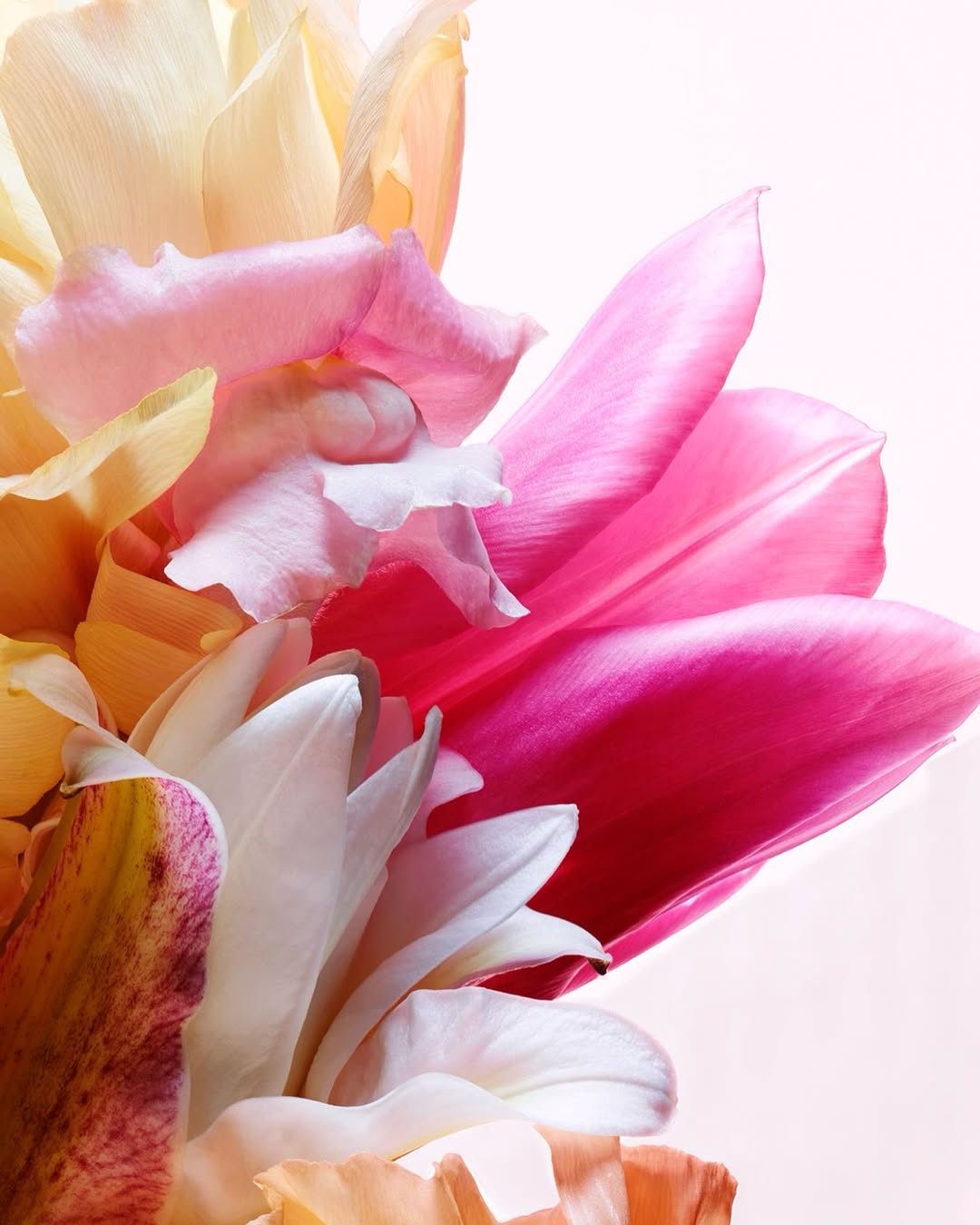 Jean-Baptiste Degez Apr. 26