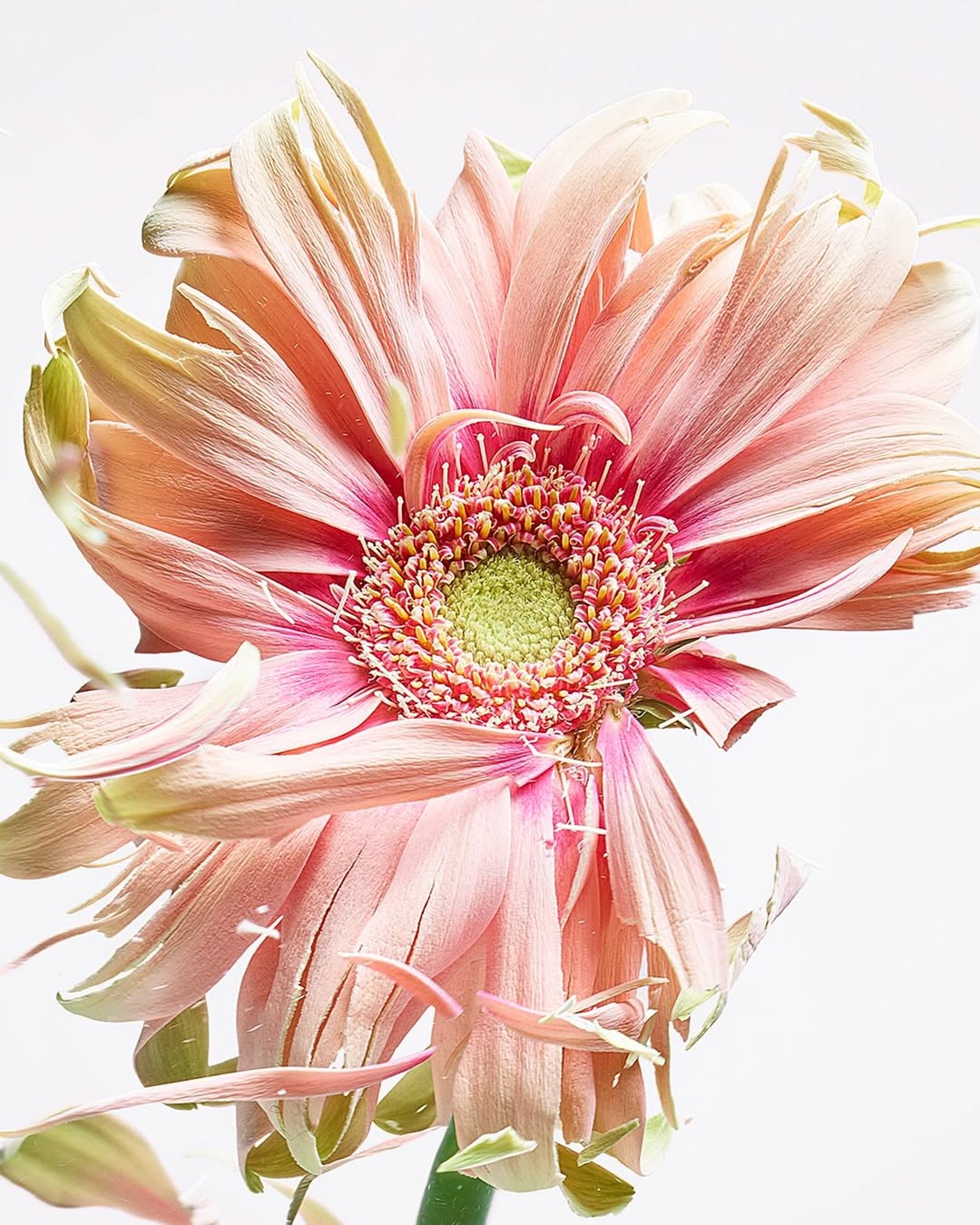 Jean-Baptiste Degez X Narcisse Magazine Apr. 26