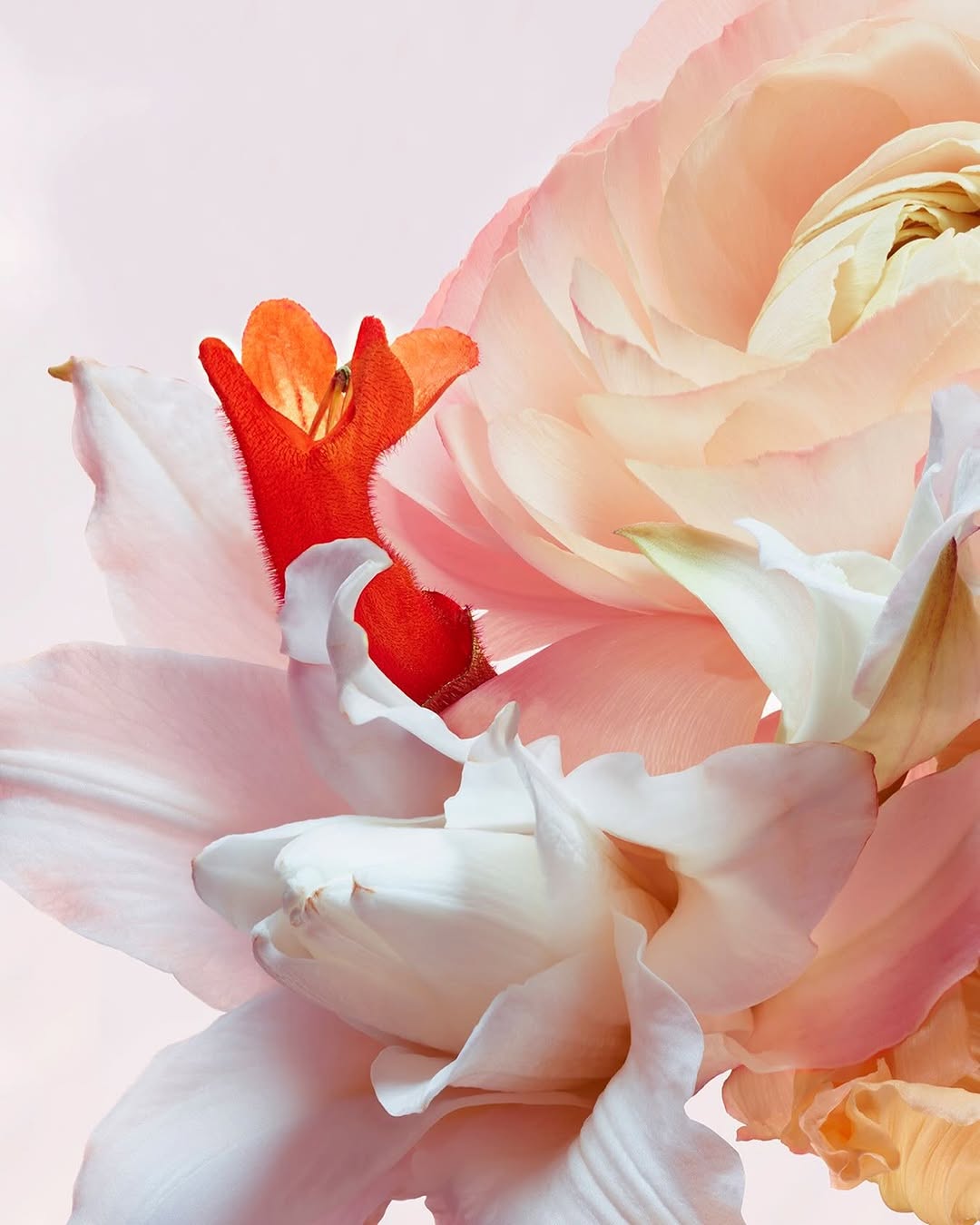 Jean-Baptiste Degez Apr. 26