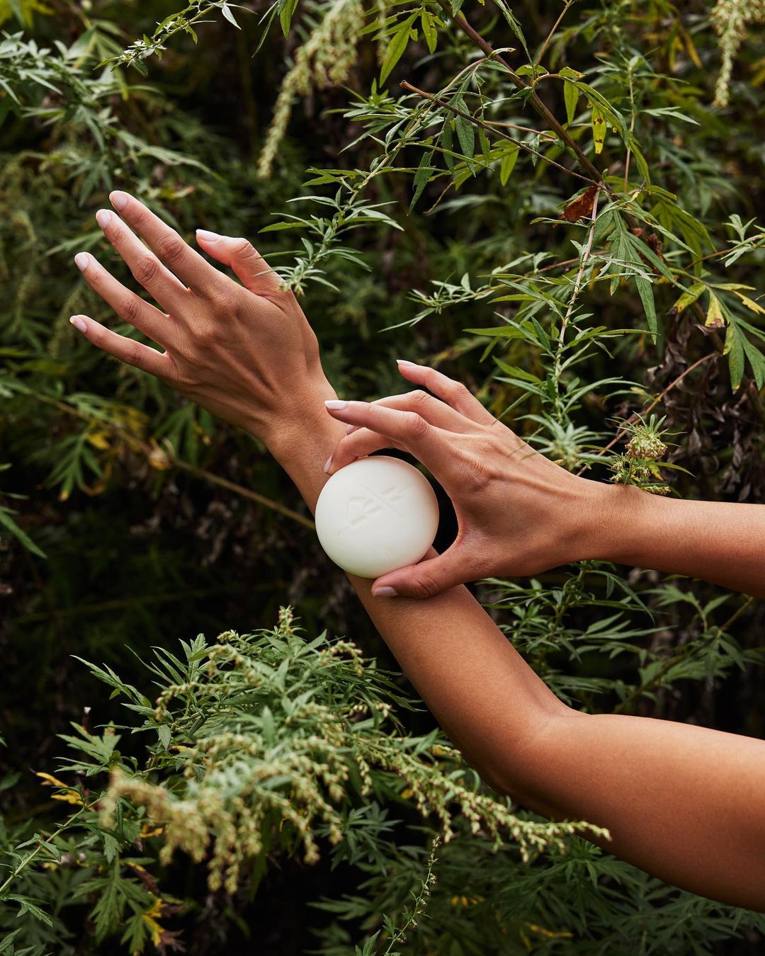 Kate McLeod |  Nov. 22