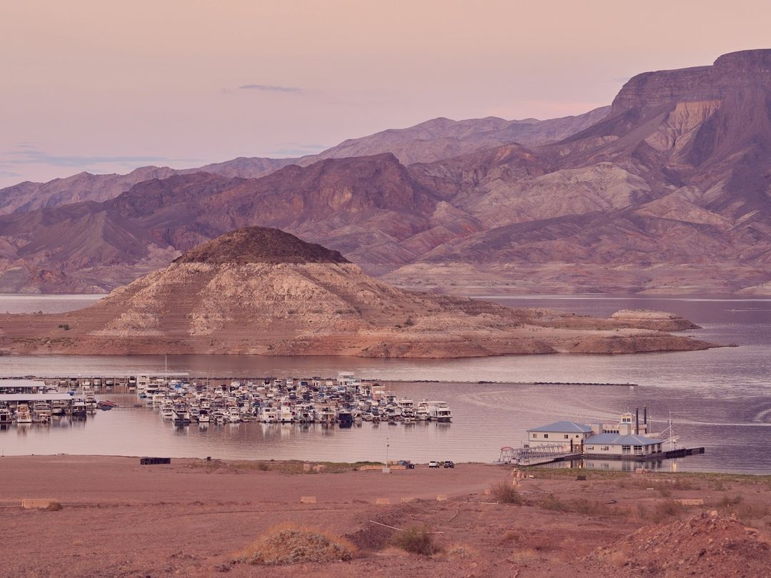 Barron’s |  Nov. 22