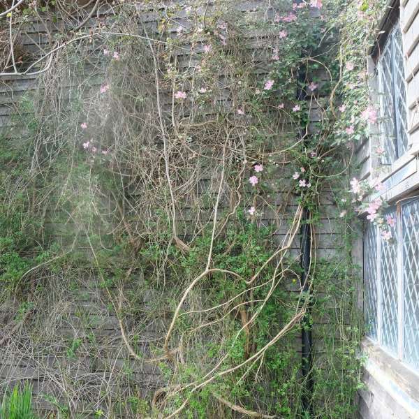 Jessica May Underwood