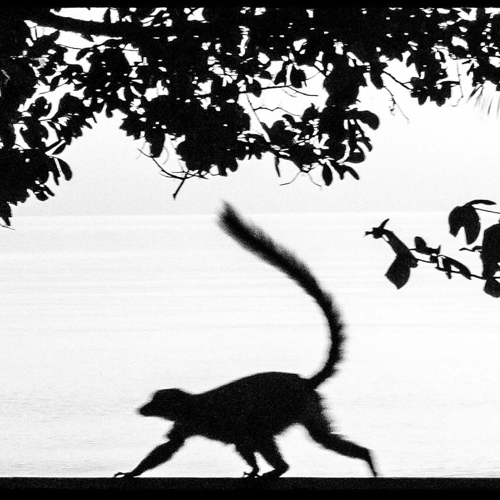 Ministère de la Culture |  Apr. 23