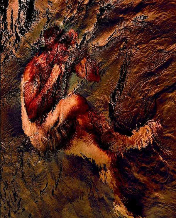 Jill Greenberg